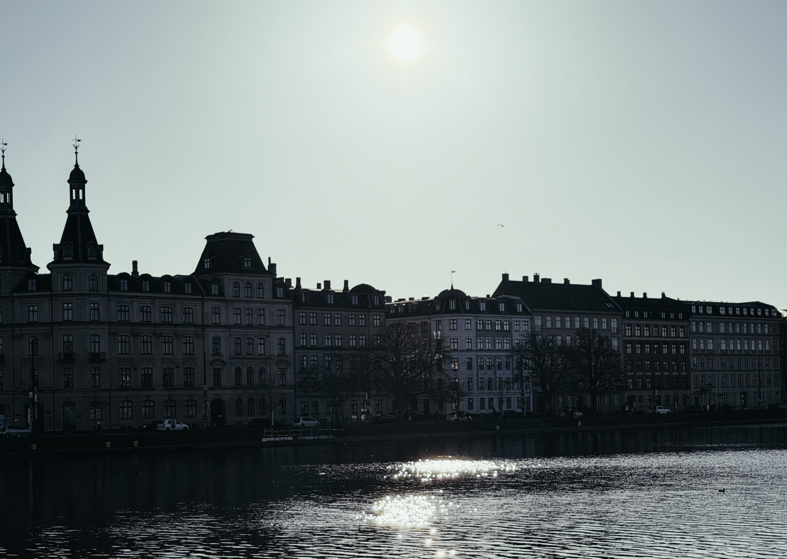 Slobodna riba koja pliva uzvodno